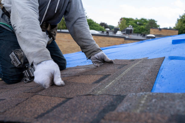 Sealant for Roof in Melrose, MN