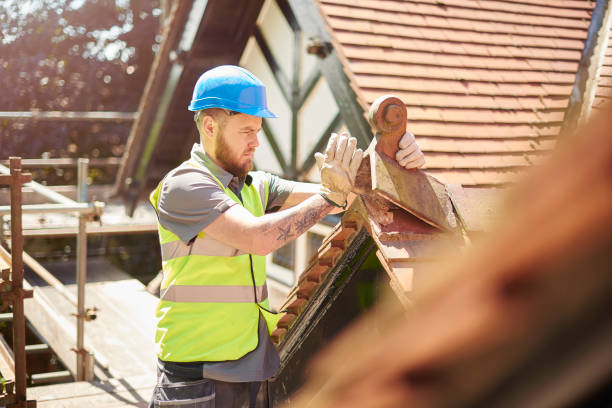 Best Emergency Roof Repair  in Melrose, MN